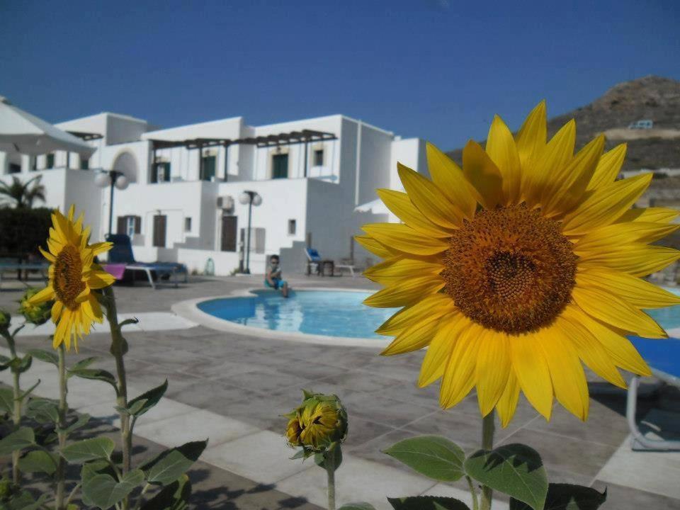 Delight Apartments Suites Стеліда Екстер'єр фото